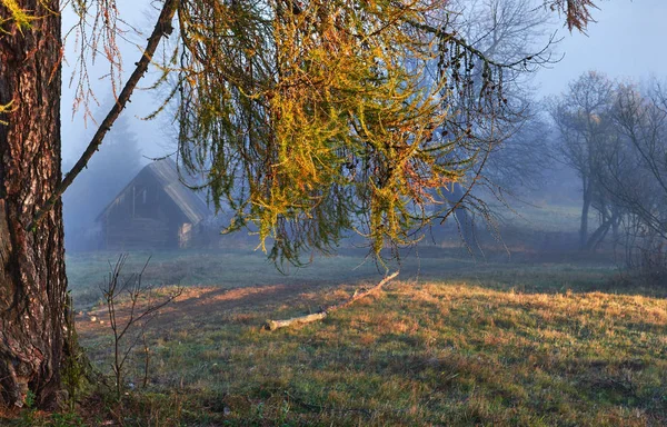 Autumn Fog Beautiful Morning Sun Landscape Carpathian Ukraine Europe Beauty — Stock Photo, Image