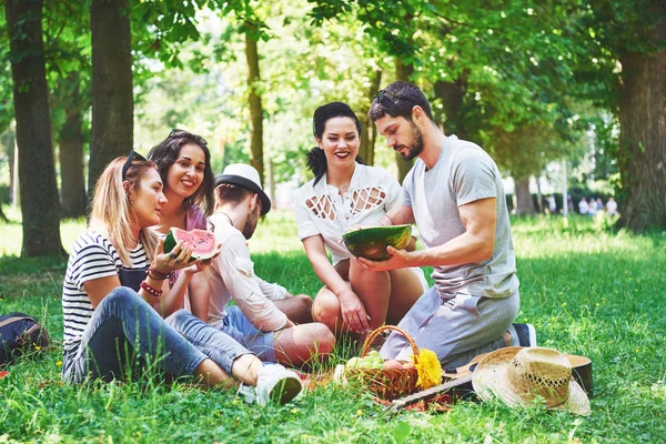 Grupo Amigos Haciendo Pic Nic Parque Día Soleado Gente Pasando — Foto de Stock