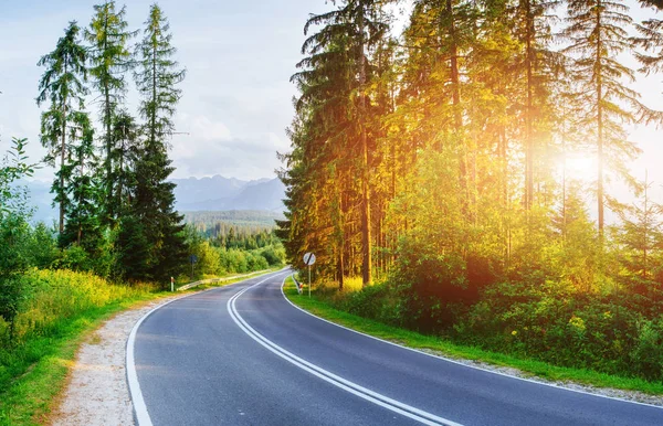 Camino Asfalto Las Montañas Belleza Del Mundo Europa — Foto de Stock