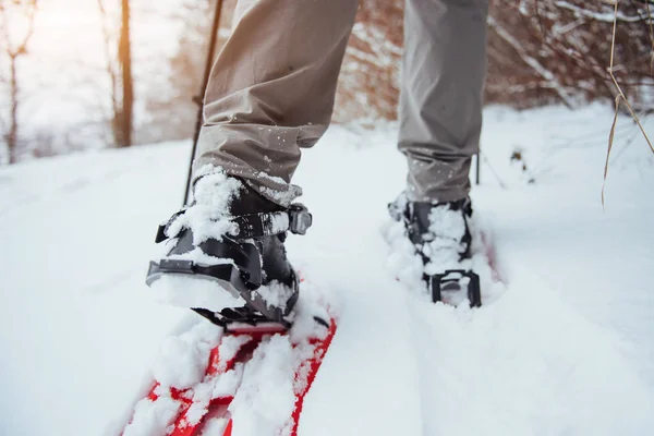 Man Resenär Med Ryggsäck Vandring Res Livsstil Äventyr Koncept Aktiva — Stockfoto