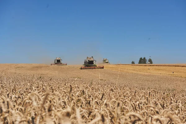 Ternopil Julho Algumas Combinações Cortar Uma Faixa Através Meio Campo — Fotografia de Stock