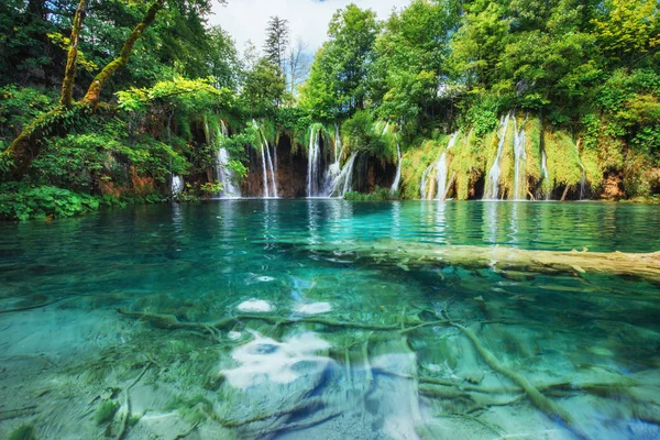 Ulusal Park Plitvice Hırvatistan Gölde Yüzen Balıkların Fotoğrafı — Stok fotoğraf