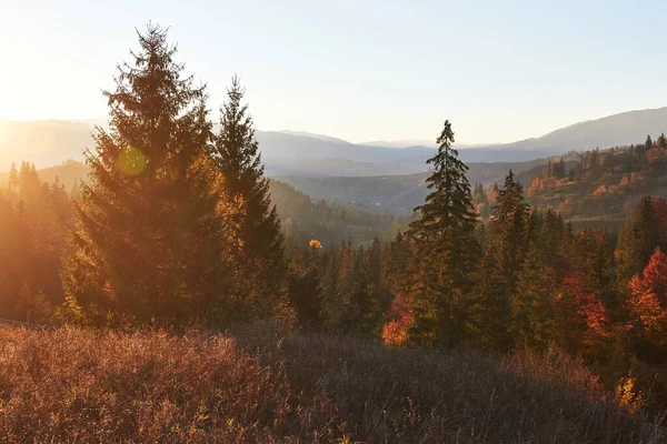 美丽的秋日清晨 俯瞰着欧洲喀尔巴阡山脉深谷之上的风景 — 图库照片