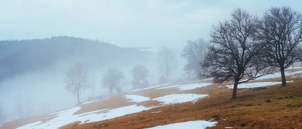 Últimos Dias Inverno Nas Montanhas Ucrânia Nevoeiro Espesso Cárpatos Europa — Fotografia de Stock