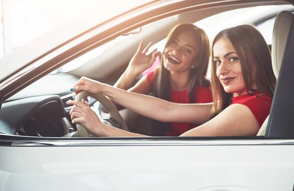 Enjoying Travel Beautiful Young Girl Twins Sitting Front Passenger Seats — Stock Photo, Image