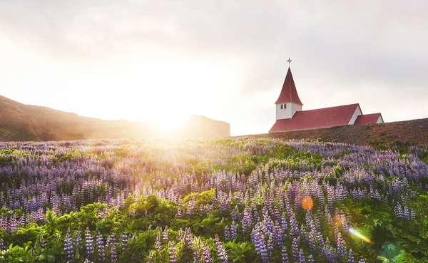 Lutherse Kerk Vik Het Schilderachtige Landschap Van Bossen Bergen Wilde — Stockfoto
