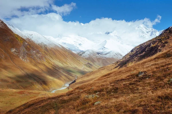 Fantastická Zlatá Podzimní Krajina Mezi Skalnatými Horami Georgii Malvnychiho Zasněžené — Stock fotografie