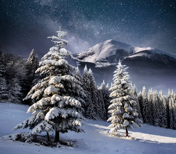 Bellissimo Paesaggio Invernale Nelle Montagne Dei Carpazi Cielo Notturno Vibrante — Foto Stock