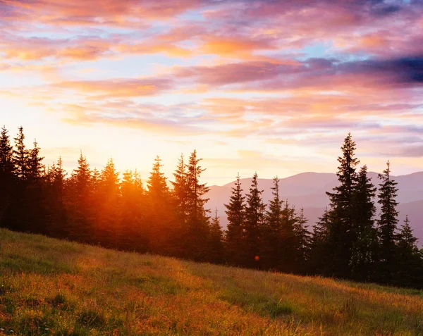 Cordillera Los Cárpatos Temporada Otoño Fantástico Atardecer Ucrania Europa — Foto de Stock