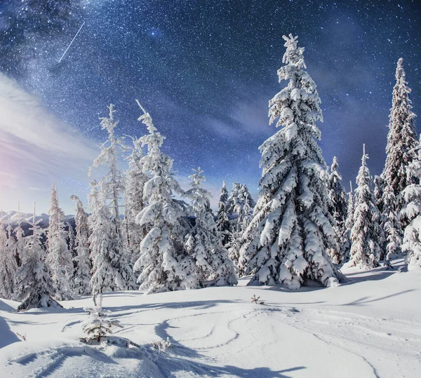 Gwiaździste Niebo Snowy Zimowych Nocy Fantastyczne Mlecznej New Year Eve — Zdjęcie stockowe