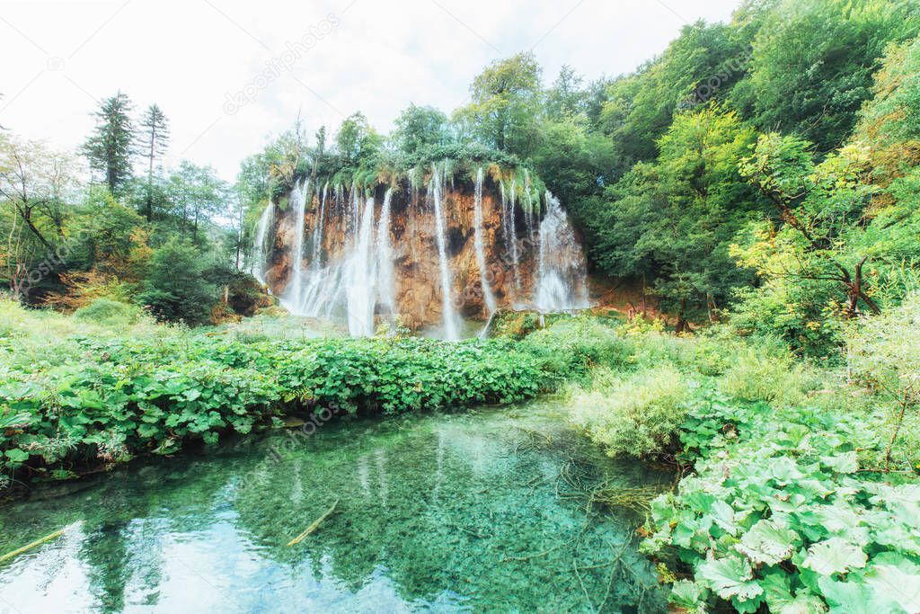 A photo of fishes swimming in a lake, taken in the national park Plitvice Croatia