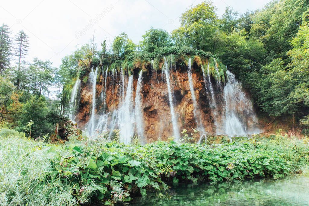 A photo of fishes swimming in a lake, taken in the national park Plitvice Croatia