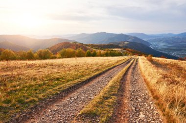 Dağlarda yol. Muhteşem sonbahar dağ manzarası. Güneş ışığında görkemli, bulutlu bulutlar. Güneşli bir günde dağ yamacında ladin ormanları.