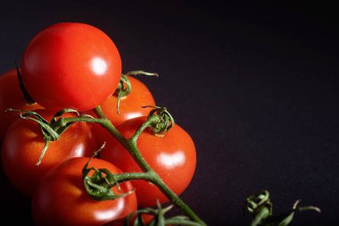 Siyah arkaplanda kırmızı organik domates dalı