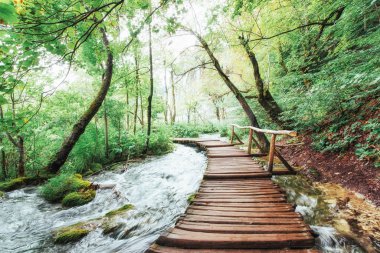 Plitvice Gölleri Milli Parkı, turistik güzergah üzerinde ahşap döşeme boyunca şelale, Hırvatistan