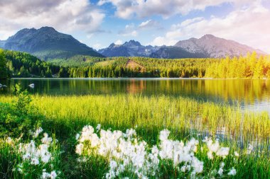 Göl strbske pleso yüksek tatras dağ, Slovakya, Avrupa