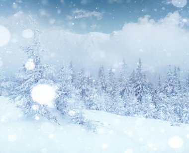 Gizemli kış manzara görkemli dağlar kış. Güzel kalın sis. Sihirli kış kar kaplı ağaç. Fotoğraf kartı. ışık efekti bokeh, yumuşak filtre. Karpat. Ukrayna. Europe