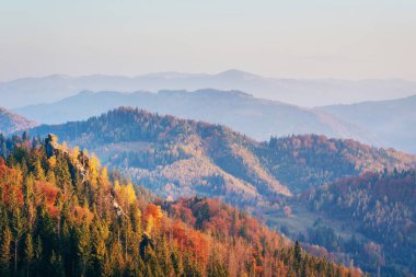 Yayla bitki örtüsü mütevazı yaz ve sonbahar soğuk hava önce alışılmadık derecede güzel renkler kütükler. Yaban mersini parlak kırmızı, iğne yapraklı orman yeşil, turuncu buk-dağlar sinie-fantastik çekicilik.