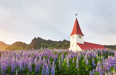 Akşam ışığında Vikurkirkja Hıristiyan kilisesinin harika manzarası. Dramatik ve resimli bir sahne. Popüler turist eğlencesi. Vik i Myrdal köyünün ünlü yeri, İzlanda, Avrupa. Güzellik dünyası.