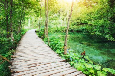 Ahşap döşeme üzerinde mavi su. Plitvice Gölleri, Hırvatistan