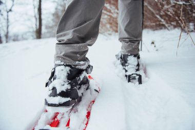 Sırt çantalı Gezgin Seyahat Yaşam Tarzı macera konsepti açık havada aktif tatiller. Kozalaklı ağaçlar ve beyaz karla kaplı güzel bir manzara. Kar ayakkabıları yakın plan