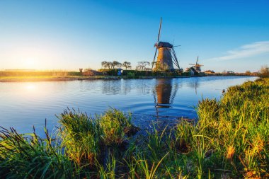 Hollanda yel değirmenleri için önde gelen Rotterdam kanala yolun. Holland. Hollanda