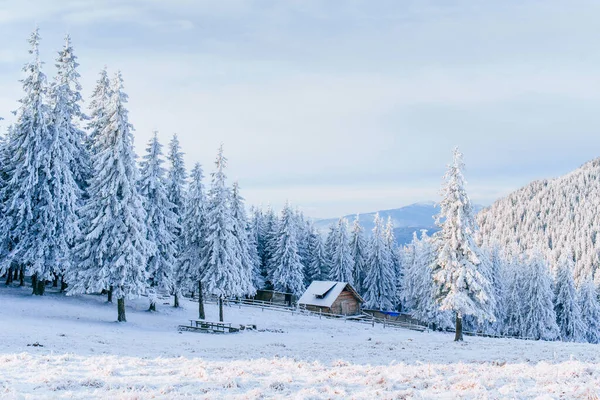 Kabina Horách Zimě Tajemné Mlhy Očekávání Svátků Karpaty Ukrajina Evropa — Stock fotografie