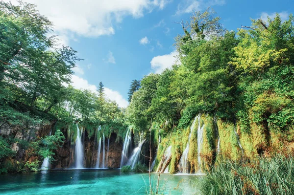 Ett Foto Fiskar Som Simmar Sjö Taget Nationalparken Plitvice Kroatien — Stockfoto