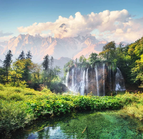 Ett Foto Fiskar Som Simmar Sjö Taget Nationalparken Plitvice Kroatien — Stockfoto