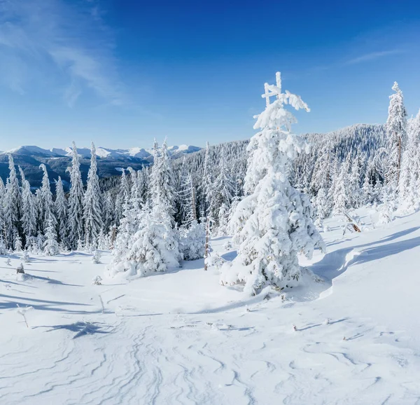 Gwiaździste Niebo Snowy Zimowych Nocy Fantastyczne Mlecznej New Year Eve — Zdjęcie stockowe