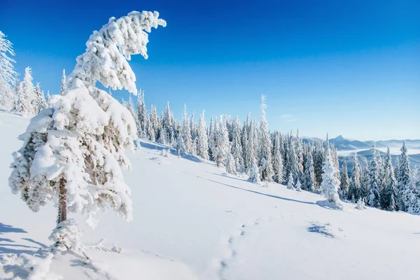 Fantastiska Vinterlandskap Magisk Solnedgång Bergen Frostig Dag Inför Semestern Dramatisk — Stockfoto