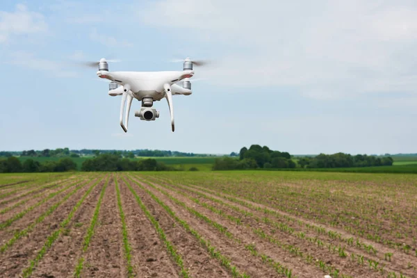 Drohnen Quad Copter Mit Hochauflösender Digitalkamera Auf Dem Grünen Maisfeld — Stockfoto