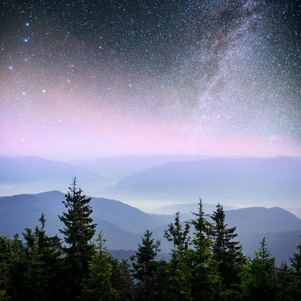 Dairy Star Trek Woods Dramatic Picturesque Scene Fantastic Starry Sky — Stock Photo, Image