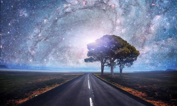 Camino Asfalto Árbol Solitario Bajo Cielo Nocturno Estrellado Vía Láctea —  Fotos de Stock