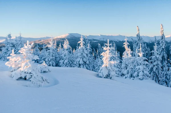 Fantastische Winterlandschap Magische Zonsondergang Bergen Een Ijzig Dag Aan Vooravond — Stockfoto