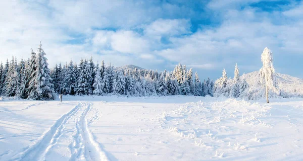 Fantastisch Winterlandschap Weg Iets Dat Naar Bergen Leidt Ijzige Zonnige — Stockfoto