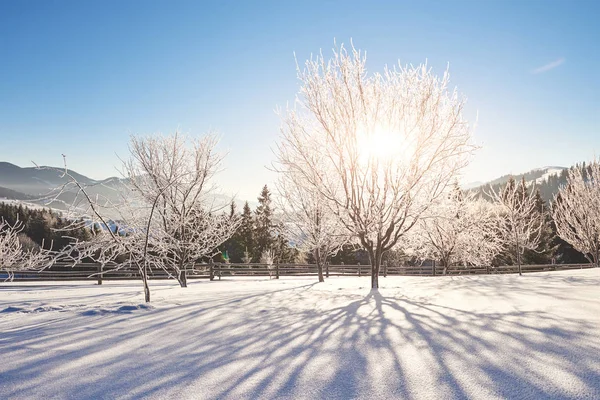 Mysterious Winter Landscape Majestic Mountains Winter Magical Winter Snow Covered — Stock Photo, Image