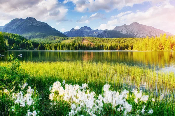 Sjön Štrbské Pleso Höga Tatra Mountain Slovakien Europa — Stockfoto