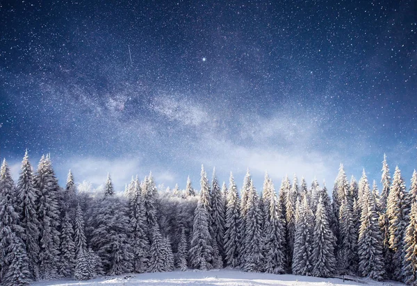 Magico Albero Coperto Neve Invernale Paesaggio Invernale Cielo Notturno Vibrante — Foto Stock