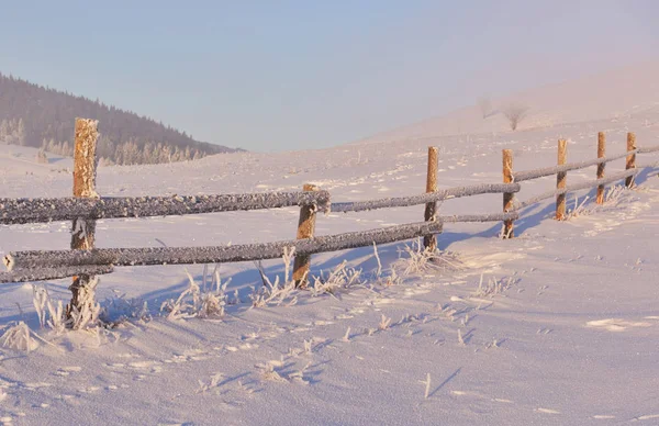 Mysterieus Winterlandschap Majestueuze Bergen Winter Magische Winter Besneeuwde Boom Foto — Stockfoto