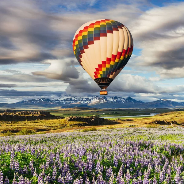 アイスランドの森や山の絵のような風景 夏に野生のブルーラインが咲きます 絵のように美しい畑の上の気球 — ストック写真