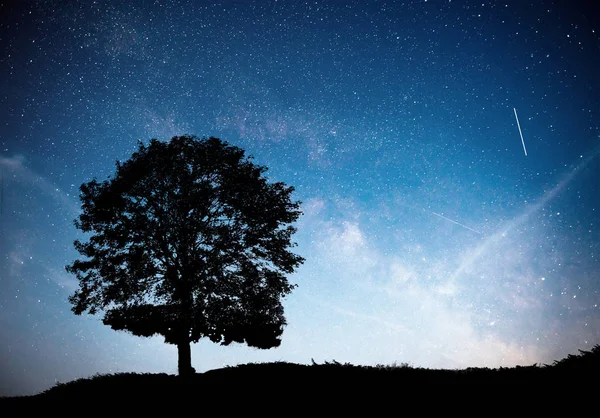 Paesaggio Con Cielo Stellato Notturno Silhouette Albero Sulla Collina Lattea — Foto Stock