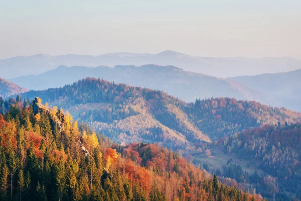 Yayla bitki örtüsü mütevazı yaz ve sonbahar soğuk hava önce alışılmadık derecede güzel renkler kütükler. Yaban mersini parlak kırmızı, iğne yapraklı orman yeşil, turuncu buk-dağlar sinie-fantastik çekicilik.