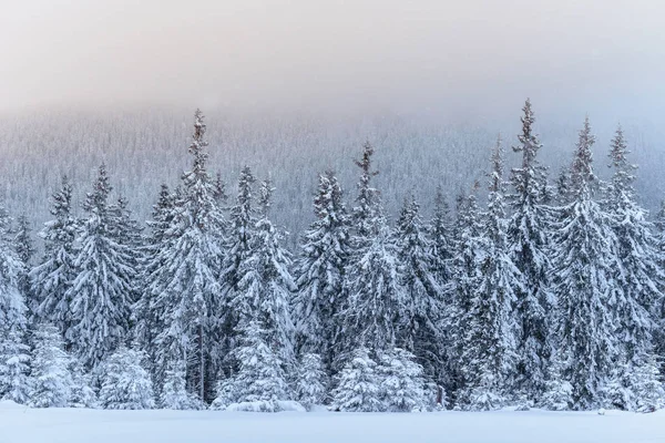 Fantastická Zimní Krajina Předvečer Svátku Dramatické Scény Karpaty Ukrajina Evropa — Stock fotografie