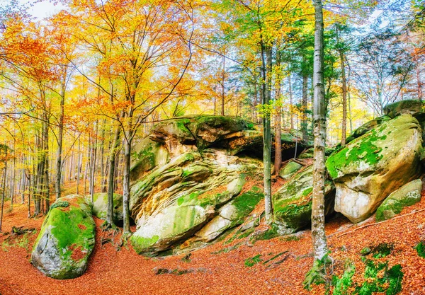 Caminando Terreno Rocoso Bosque Cárpatos Ucrania Europa —  Fotos de Stock