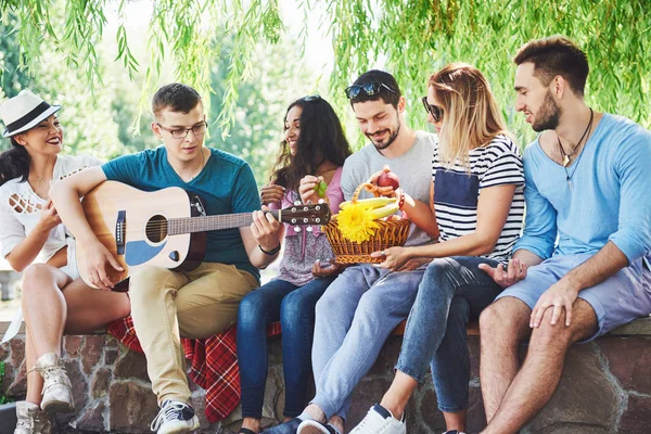 Een Groep Gelukkige Vrienden Met Gitaar Terwijl Een Van Hen — Stockfoto