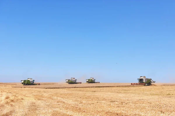 Ternopil 7月20日 2017年7月20日 在Ternopil 一些人将收割小麦时割断麦田中央的一片土地结合起来 — 图库照片