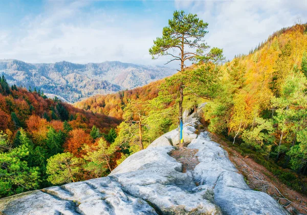 Chůze Skalnatém Terénu Lese Karpatské Ukrajině Evropa — Stock fotografie