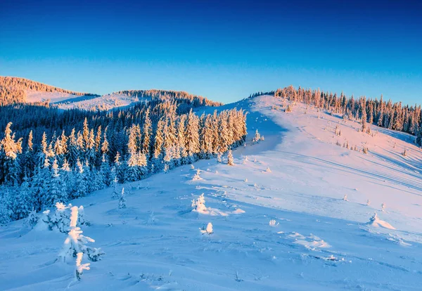 神秘的冬季风景 冬天雄伟的群山 神奇的冬雪覆盖了树木 山中的冬季道路 为了迎接假期 戏剧化的冬季场景 喀尔巴阡山 乌克兰 — 图库照片