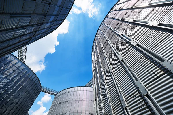 Silos Agrícolas Edificio Exterior Almacenamiento Secado Granos Trigo Maíz Soja — Foto de Stock